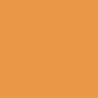 Orange Prints