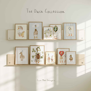 The Duck Collection