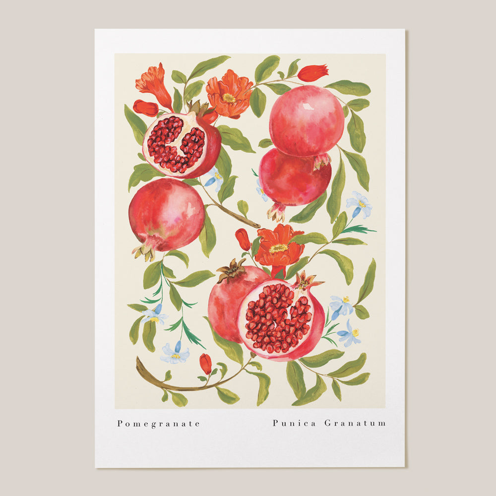 Pomegranate fruit hand painted gouache design with lilac wildflowers. Available in A4 and A3.