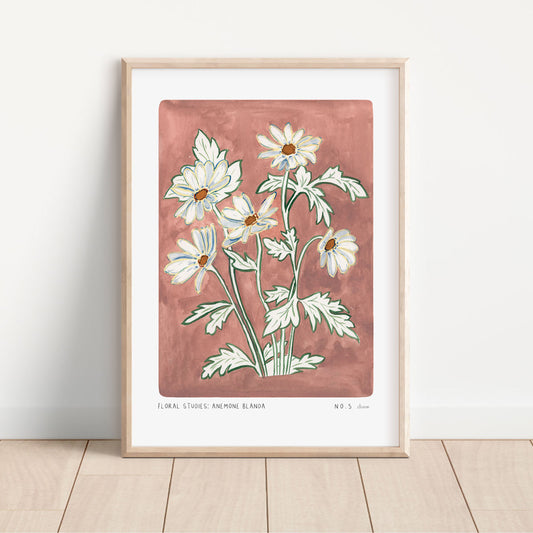 Anemone Blanda Art Print