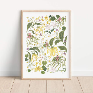 Ylang ylang flowers, chamomile, neroli and other natural essence wildflowers entwined painting called botanical whisper in a4 a3 a2