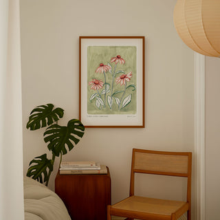 Our coneflower art print with a sage green painted background and peachy pink flowers and green outlined leaves. With small text reading floral studies: coneflower NO.7; styled in a dark wood frame in a bedroom