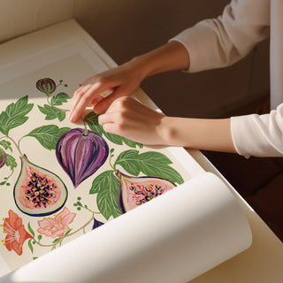 fig print rolled up 