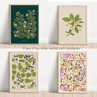 A4 Mystery Prints Bundle