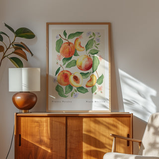 botanical peach vintage style art print. Styled in light oak frame on wooden unit with mid century lamp