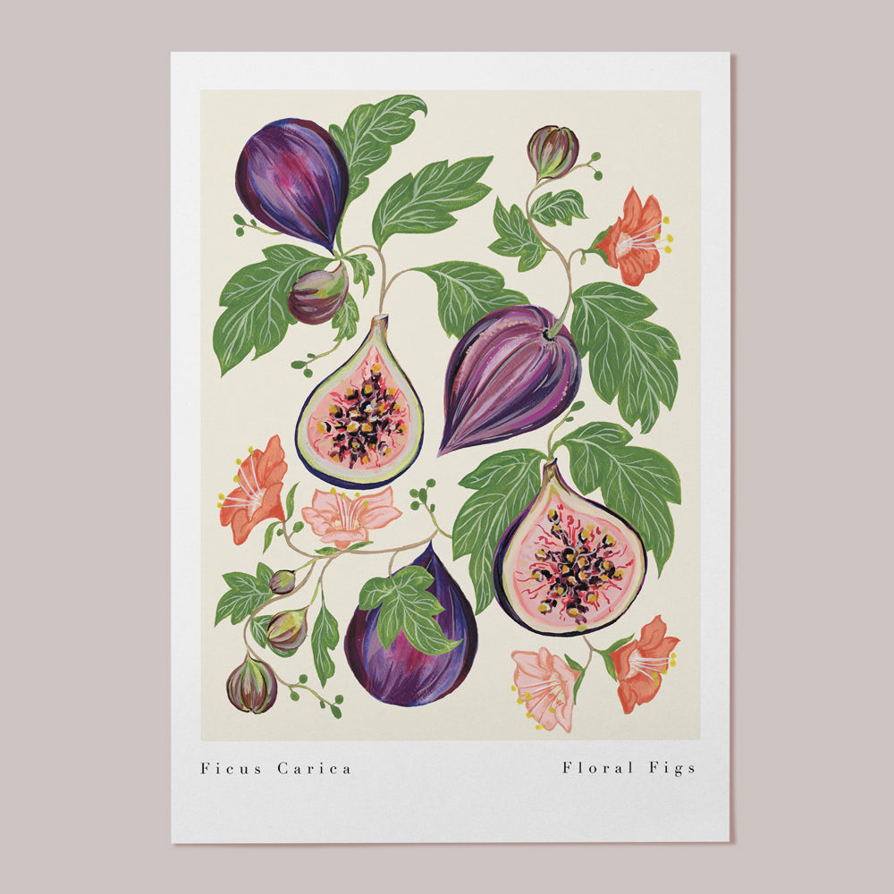 fig fruit wall art in a4 and a3 for kitchen walls