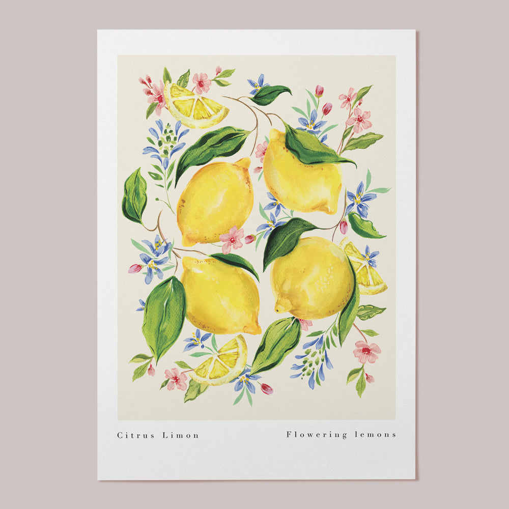 citrus fruit vintage botanical print 