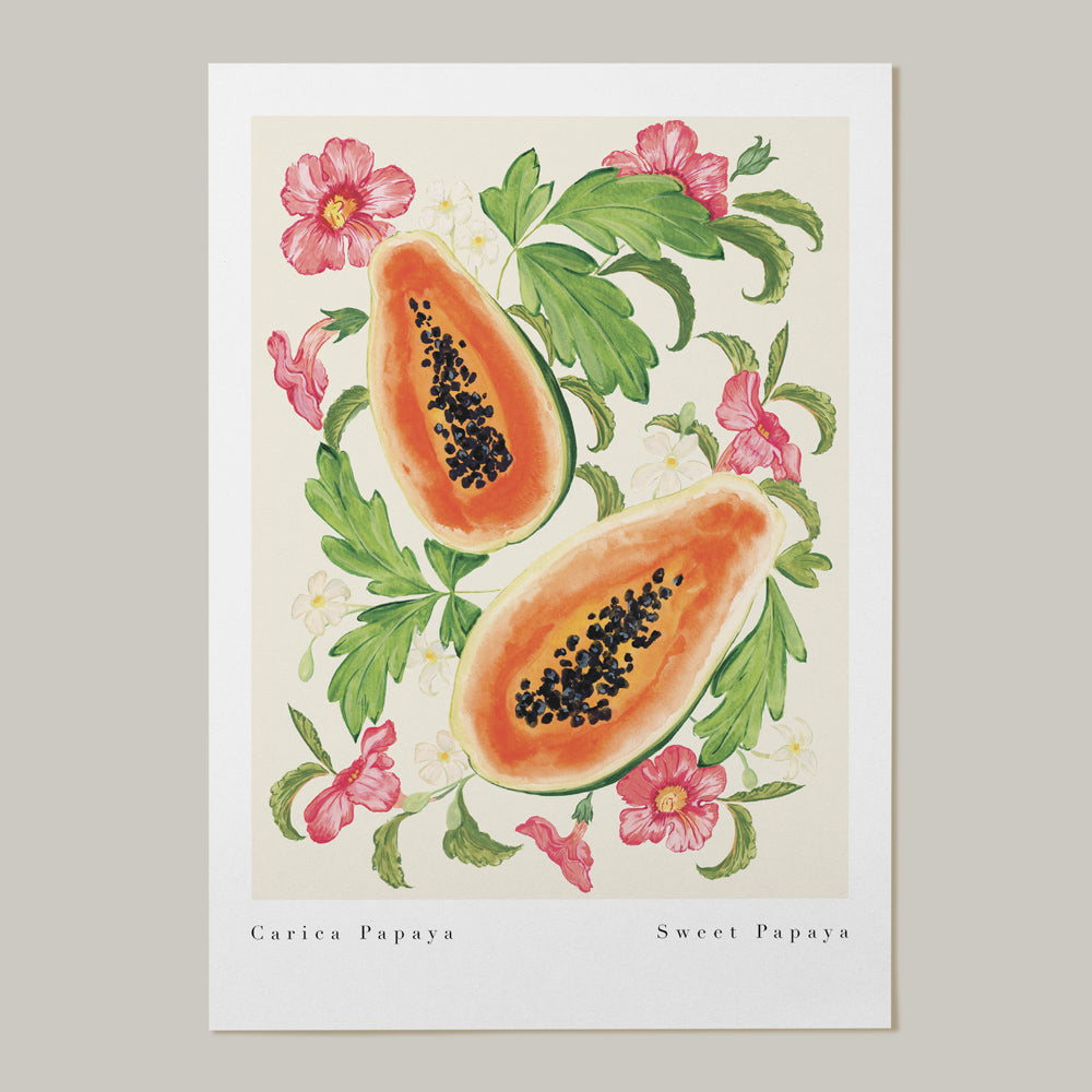 papaya unframed print