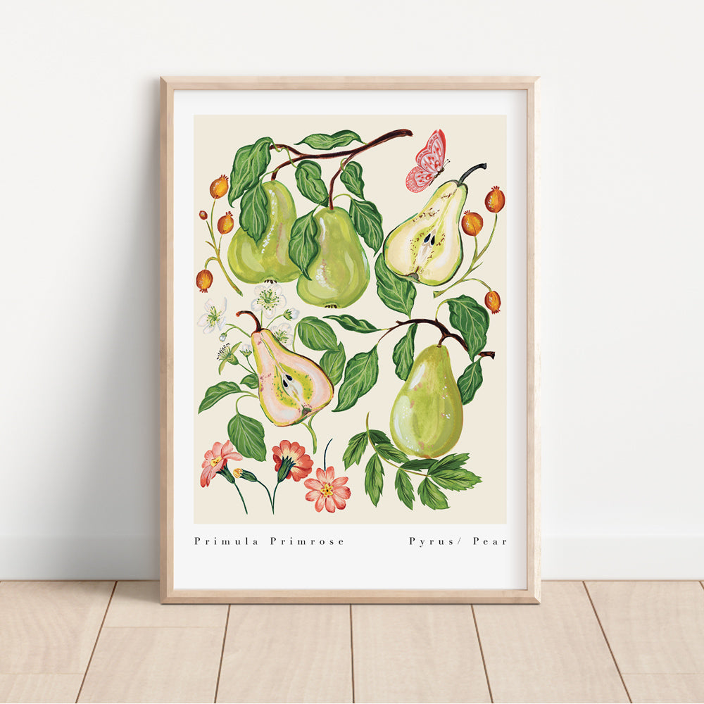 pear fruit illustration art print 