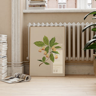 living room beige wildflower print