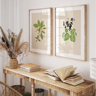 botanical earthy neutral wall art 