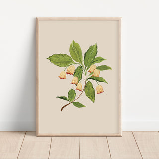 Bell flower simple botanical wall art -neutral beige print- minimal earthy flower print- print for living room- bedroom - bathroom