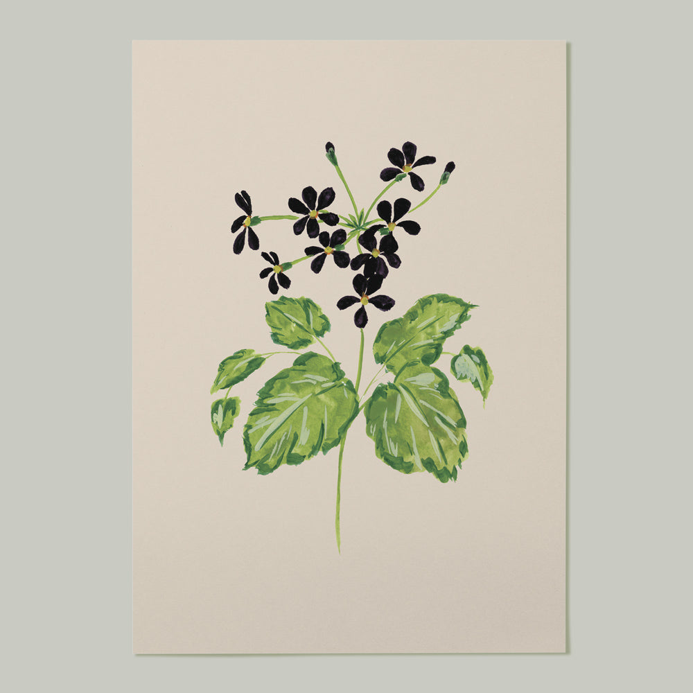 black wildflower on beige background art print