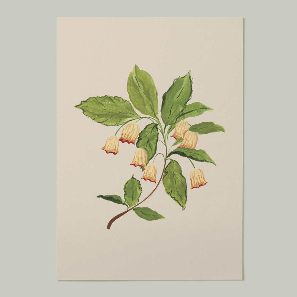 autumnal floral print for walls