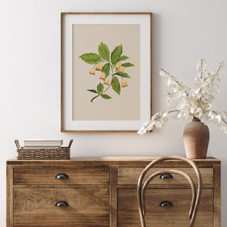 cottagecore neutral botanical art print 