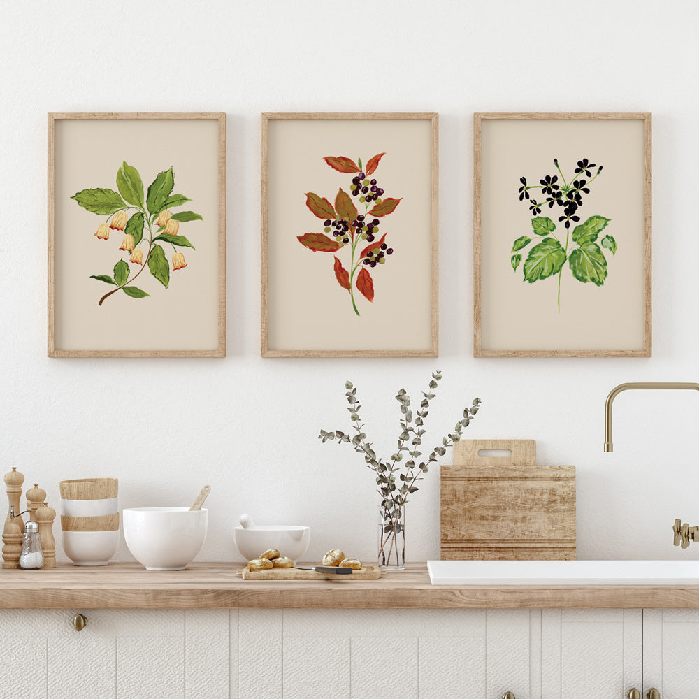 neutral wildflower art prints in a4 and a3 