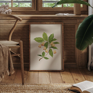 earthy botanical simple wall art 