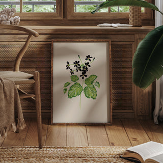 black wildflower art print
